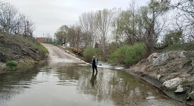İzmit Körfezi'ne akan 12 dere yakından izleniyor