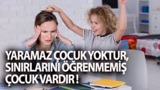 Yaramaz çocuk yoktur, sınırlarını öğrenmemiş çocuk vardır