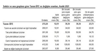 Tarım Ürünleri Üretici Fiyat Endeksi, Aralık 2021