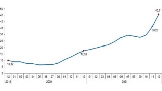 Tarımsal girdi fiyat endeksi (Tarım-GFE) yıllık 45,61, aylık 9,82 arttı