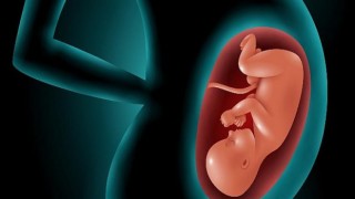 Yapay Rahim Tedavisi (Endometirial Ko-Kültür) Anne Adaylarına Umut Oluyor