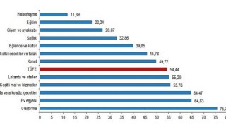 Tüketici fiyat endeksi (TÜFE) yıllık 54,44, aylık 4,81 arttı