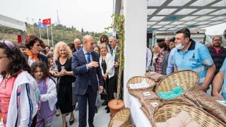 Türkiye’ye örnek Pako Sokak Hayvanları Sosyal Yaşam Kampüsü açıldı