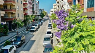Başkan Atabay: Didimimiz Her Geçen Gün Güzelleşiyor... Didim Belediyesi