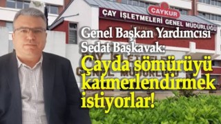 GENEL BAŞKAN YARDIMCISI BAŞKAVAK: ÇAYDA SÖMÜRÜYÜ KATMERLENDİRMEK İSTİYORLAR!