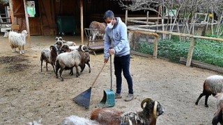Organik atıklar bu tesiste gübreye dönüşüyor...İzmir