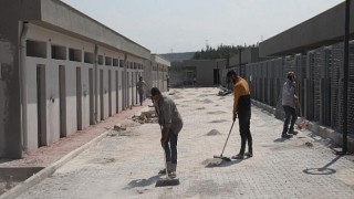 Sokak Hayvanları Geçici Bakım Evi ve Rehabilitasyon Merkezi inşaatı tamamlandı... Antalya