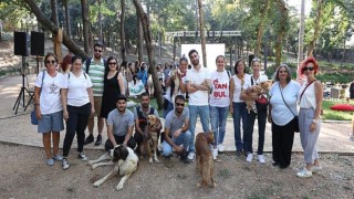 Koç Topluluğu Çalışanları, Sokak Hayvanlarıyla Ortak Bir Yaşam Kültürü İçin Semtpati Fest’te Buluştu