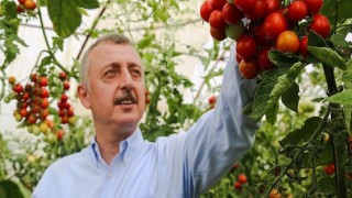 Başkan Büyükakın: Üretimi destekliyoruz bereketini topluyoruz