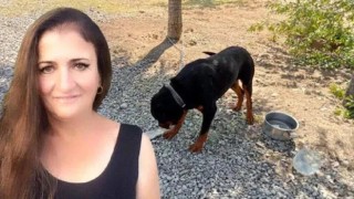 Emlak firmasının köpeği toprağı eşeledi ...