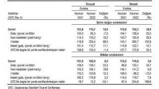 İhracat birim değer endeksi yüzde12,0 arttı