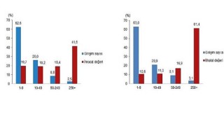 İhracatın yüzde 41,6’sını, ithalatın ise yüzde 61,4’ünü büyük ölçekli girişimler gerçekleştirdi