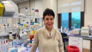 Koç Üniversitesi Araştırmacıları COVID-19 İle Mücadeleyi Yeni Bir Molekülle Ateşliyor