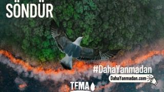 Orman Yangınlarını Önlemek Söndürmekten Daha Kolay