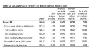Tarım ürünleri üretici fiyat endeksi (Tarım-ÜFE) yıllık yüzde 157,89, aylık yüzde 5,00 arttı