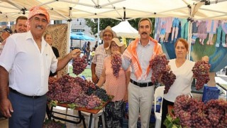 Urla Bağbozumu Şenlikleri Başladı