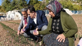 Yenişehir Belediyesi tarımsal danışmanlık hizmeti verecek