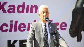 Muğla Büyükşehir’den Yatağan’a Kıl Keçisi Desteği