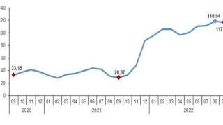 Yurt Dışı Üretici Fiyat Endeksi (YD-ÜFE) yıllık yüzde 117,04, aylık yüzde 0,67 arttı