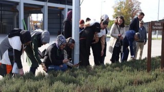 Aromatik bitki kursları KO-MEK’te