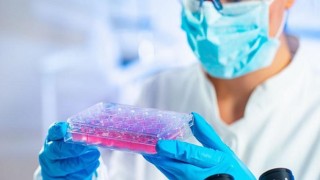 Kıbrıs’ta bir ilk: Kök hücre tedavisi
