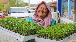 Buca'da Belediye-Kooperatif işbirliği, tarımı canlandırdı