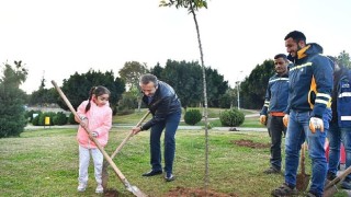 Çukurova'da turunç seferberliği