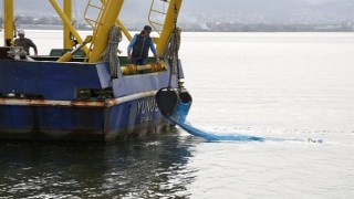 İzmit Körfezi'nde biyoçeşitliliğin tespiti