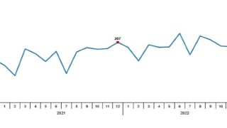Tavuk eti üretimi 201 bin 123 ton, tavuk yumurtası üretimi 1,75 milyar adet olarak gerçekleşti
