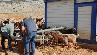 DEÜ Ekipleri, Deprem Atıklarının Bertarafı İçin Çalışıyor