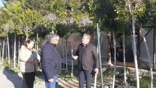 Kemer'in çiçekleri sezona hazır