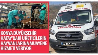 Konya Büyükşehir Hatay'daki Üreticilerin Hayvanlarına Muayene Hizmeti Veriyor