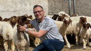 Harran Üniversitesi'nde Ülke Hayvancılığına Önemli Katkı Sunacak Proje Geliştirildi