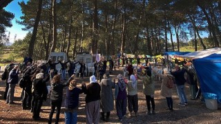 Akbelen Ormanı'nın korunması için sivil toplum kuruluşlarından ortak çağrı!