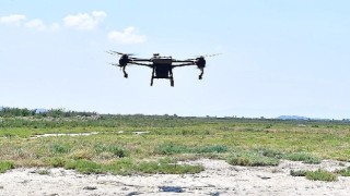 İzmir'de sivrisinek ile dronlu mücadele