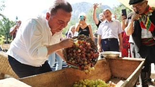 Antalya Gastronomi Festivali'nin İkinci Gününde Mor Üzüm Hasadı