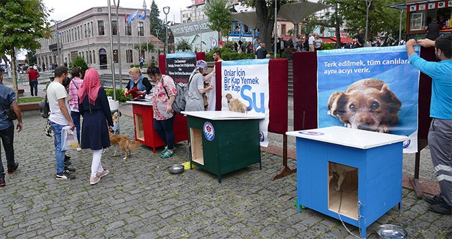 Trabzon’a Türkiye’nin en büyük hayvan bakım merkezi